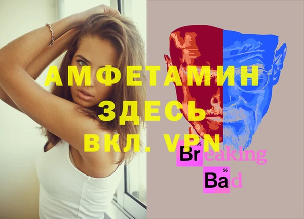 индика Белокуриха